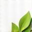 Eco-friendly materials icon